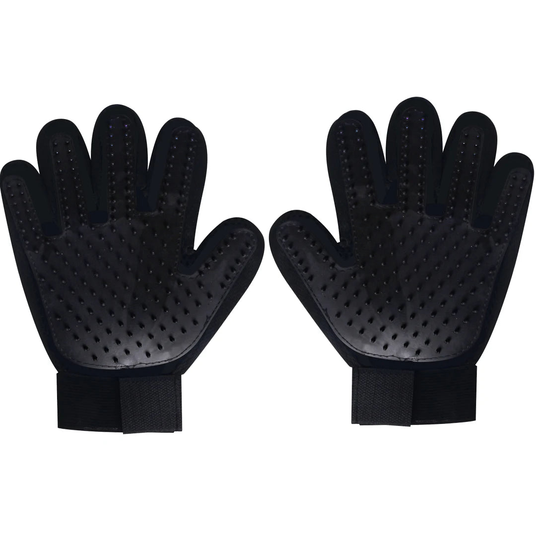 Gants de toilettage pour animaux de compagni