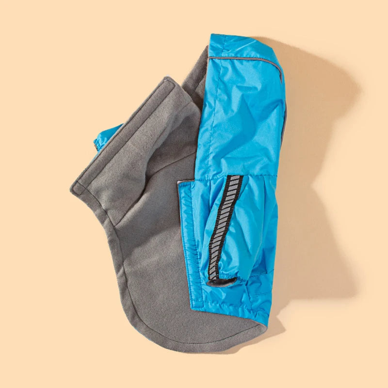 Veste imperméable pour chien