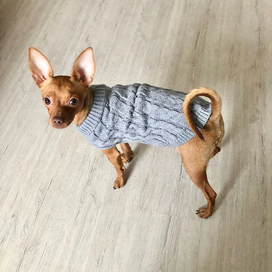 Pull en coton pour chien