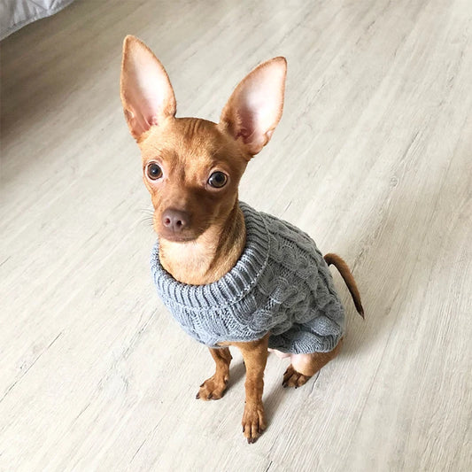 Pull en coton pour chien